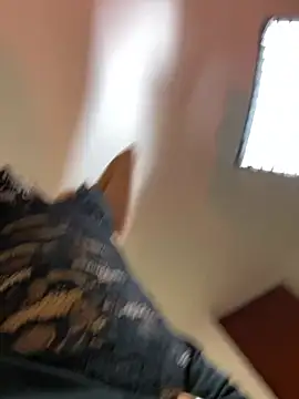 Irish_Collins cam profile